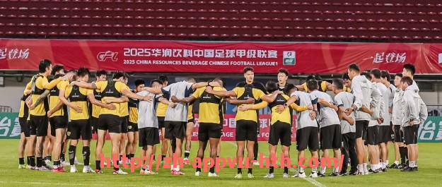 HTH华体会APP下载-意甲联赛中的毒瘤球队排名与赛季表现分析