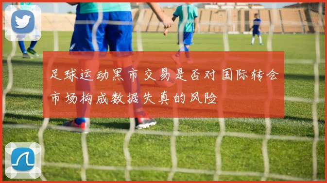 足球运动黑市交易是否对国际转会市场构成数据失真的风险