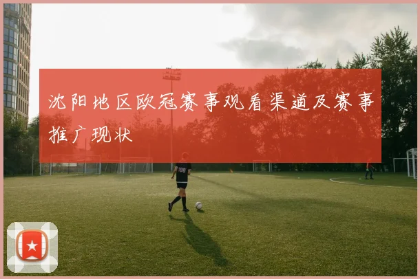 沈阳地区欧冠赛事观看渠道及赛事推广现状